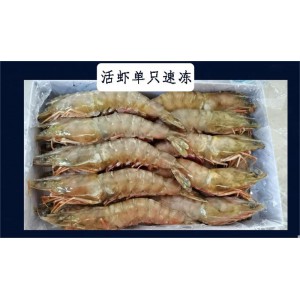 500g/盒*2      冰鲜野生大虾8-10